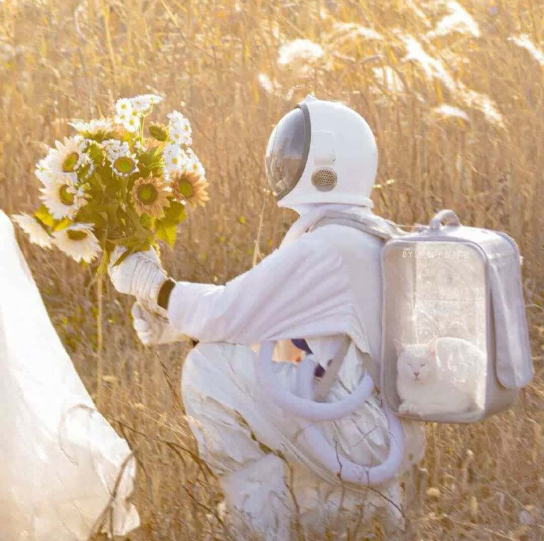 Good85-菠菜星球